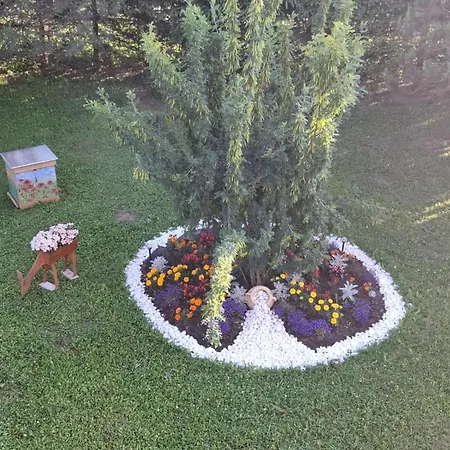 Pod Białą Skała *